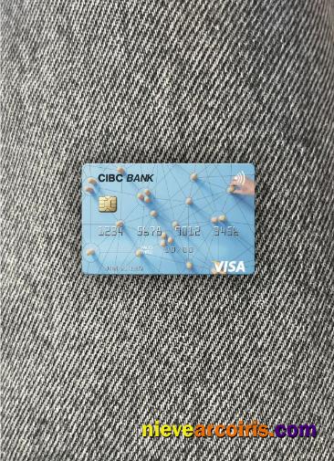 USA CIBC Bank visa card photolook
